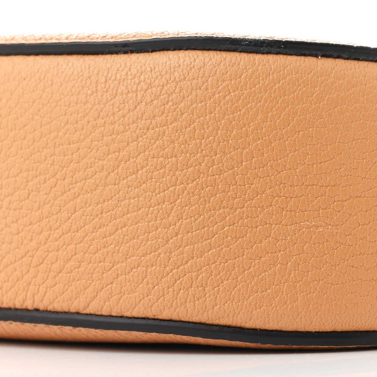 Chloe Grained Lambskin Mini Drew Shoulder Bag  Softy Brown 10 of 10