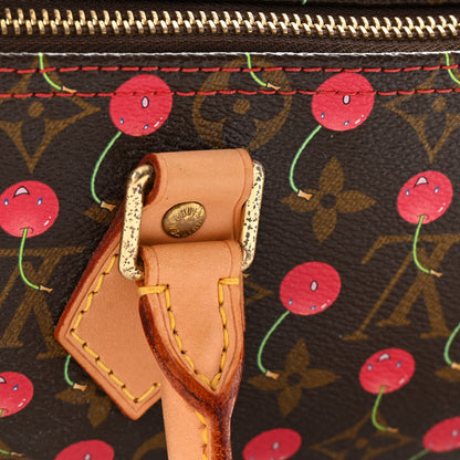 Louis Vuitton Monogram Cerises Speedy 25 16 of 17