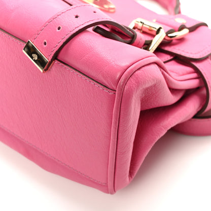 Mulberry Soft Buffalo Mini Alexa Pink 9 of 9