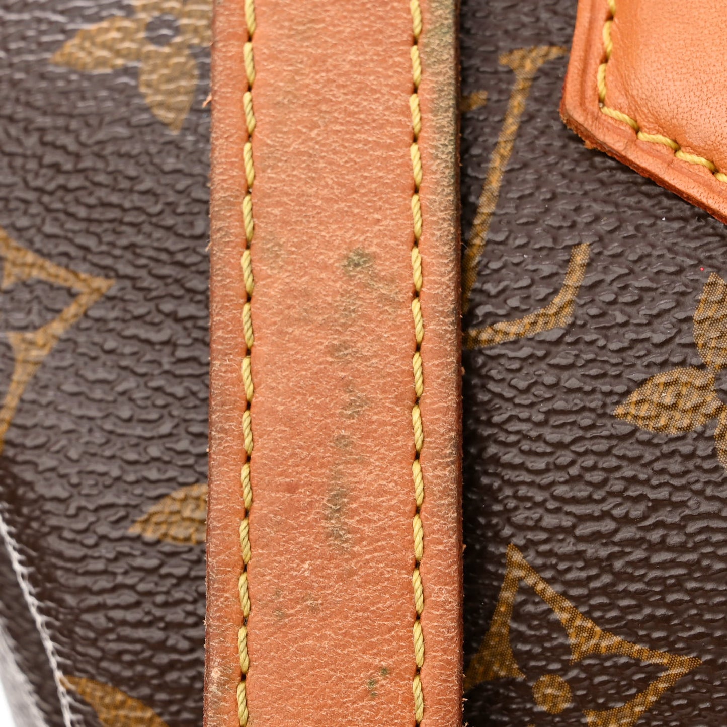 Monogram Speedy Bandouliere 25