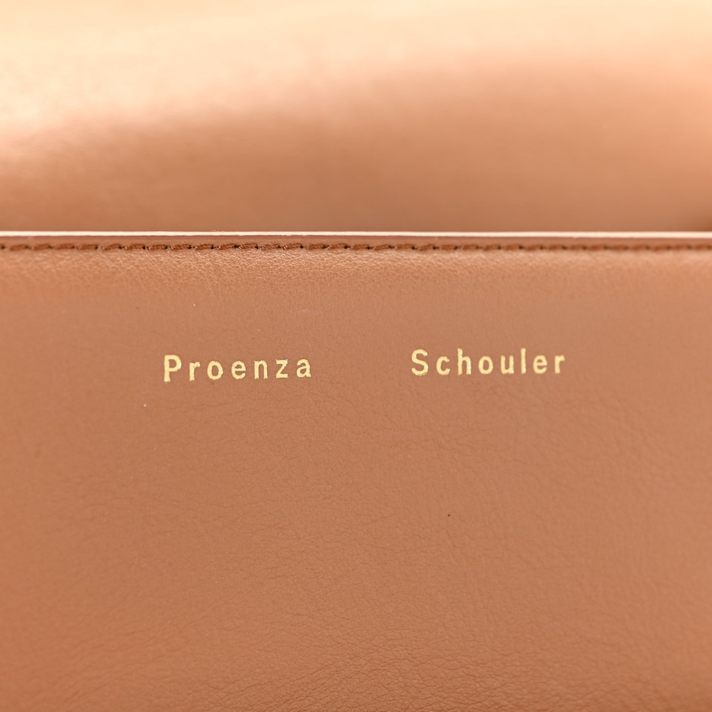 Calfskin PS11 Tiny Shoulder Bag Biscotti