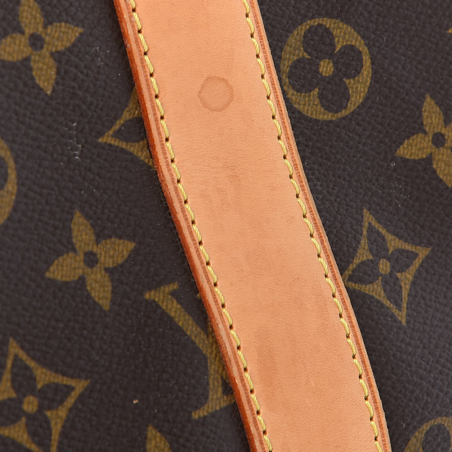 Monogram Carryall