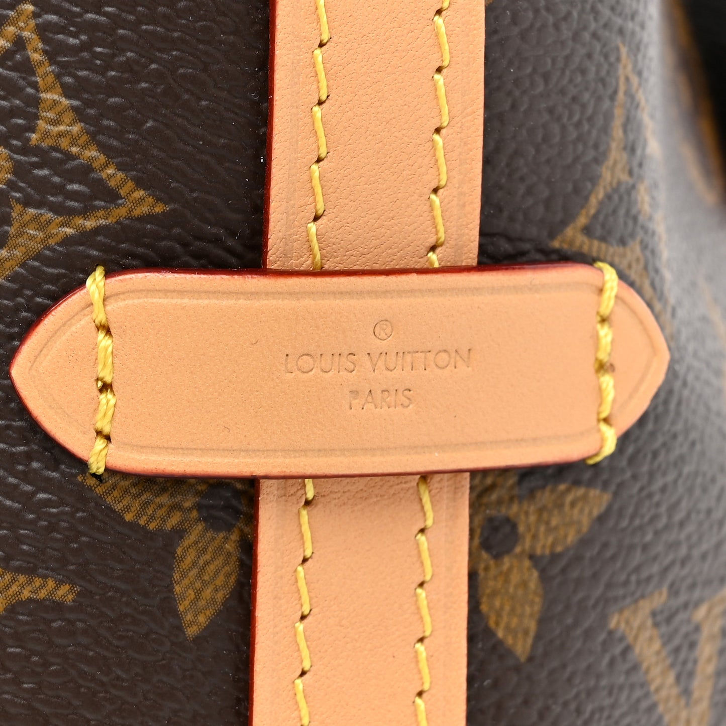 Monogram CarryAll PM