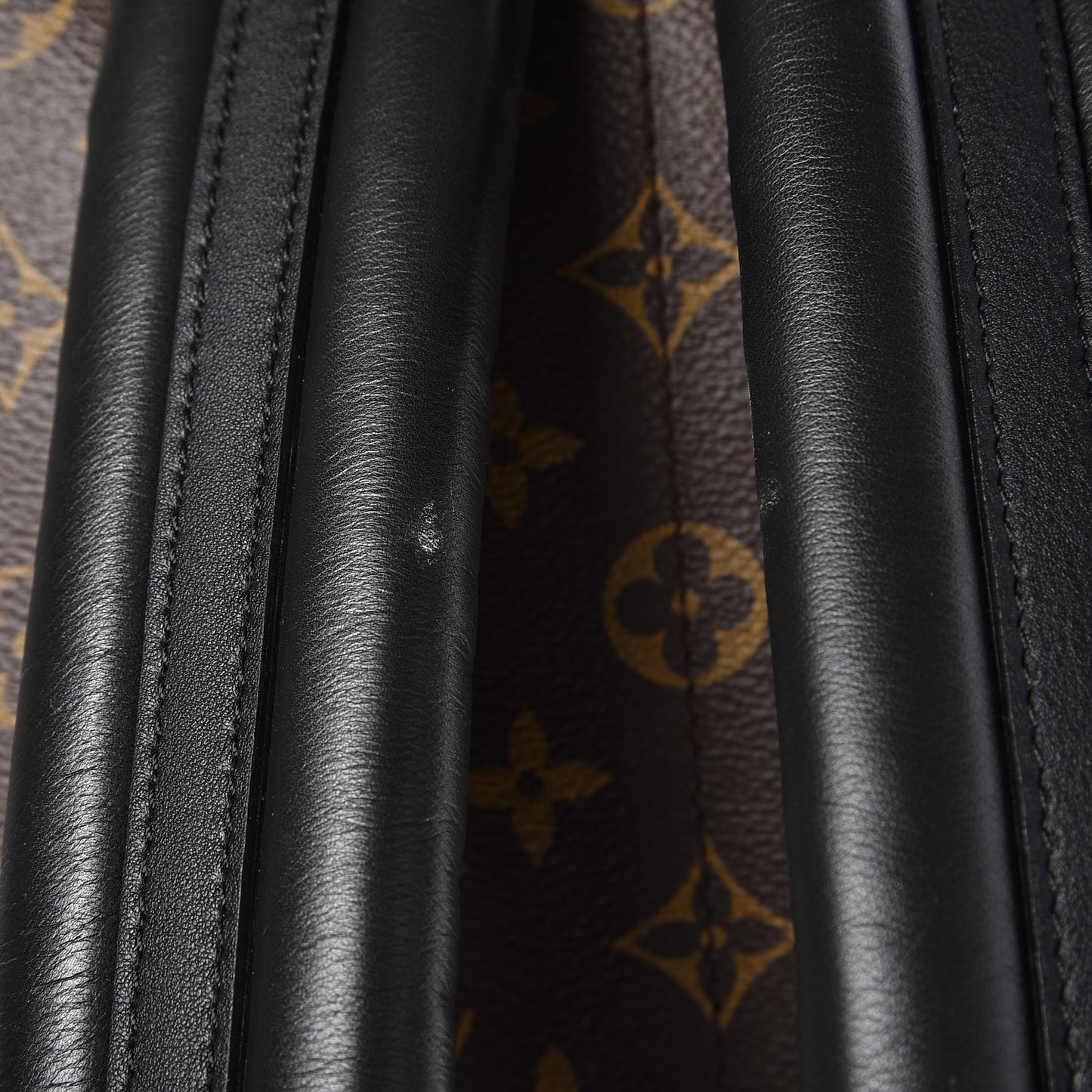 Monogram Palm Springs Backpack MM