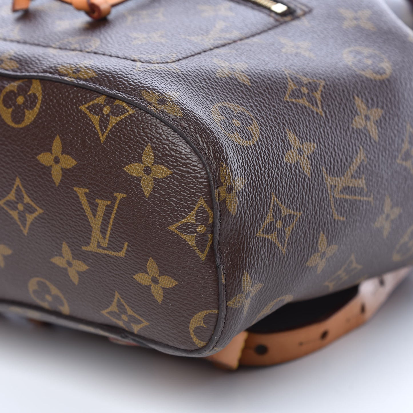 Monogram Montsouris NM Backpack