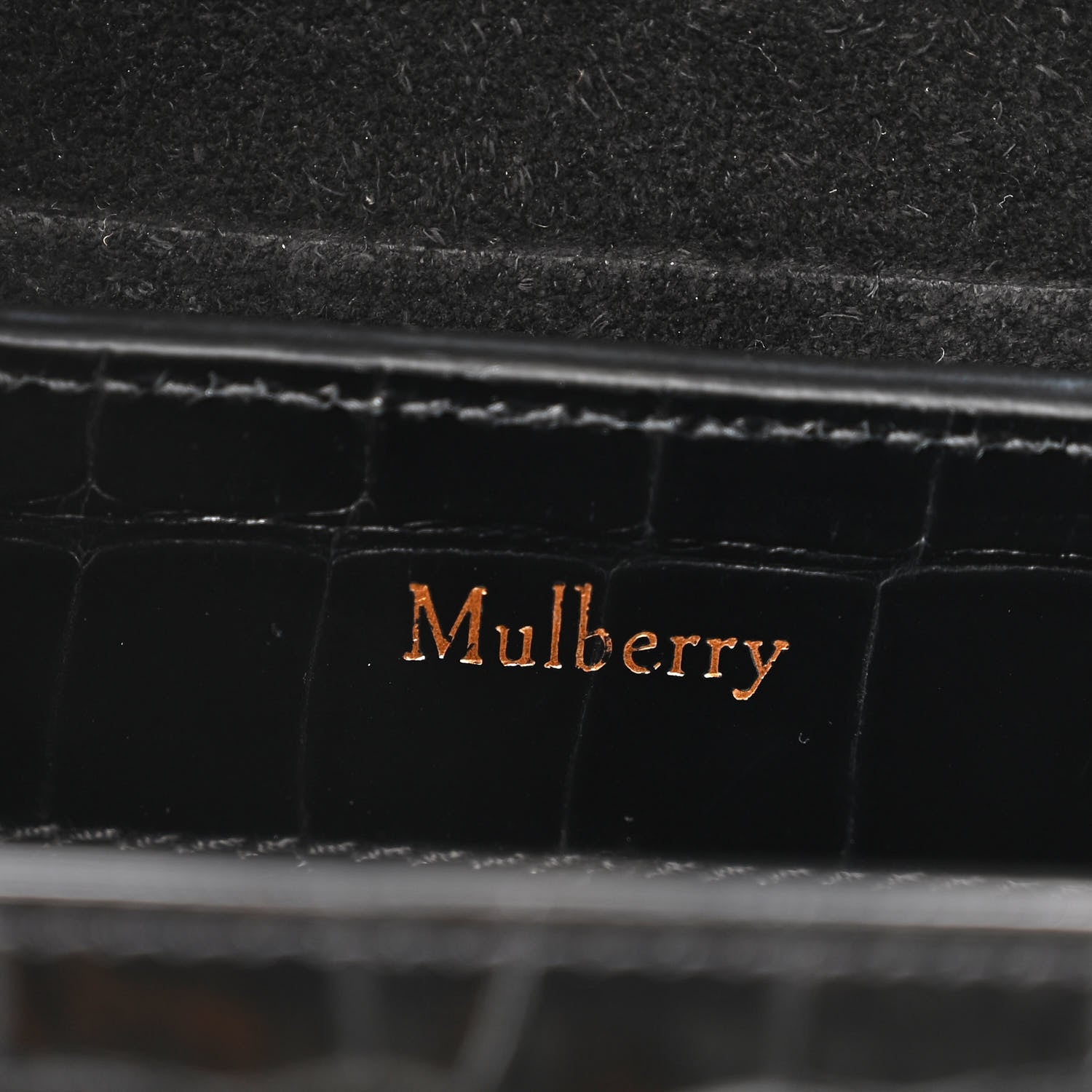 Mulberry Calfskin Crocodile Embossed Micro Seaton Black 5 of 9