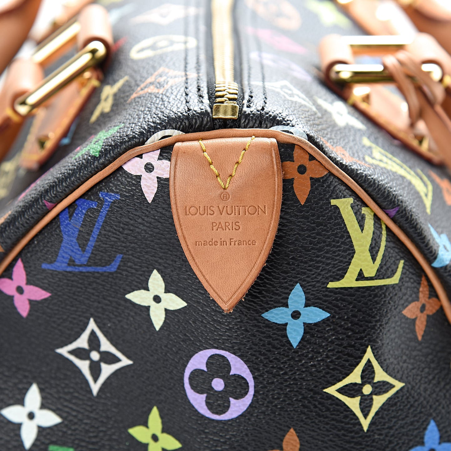 Monogram Multicolor Speedy 30 Black