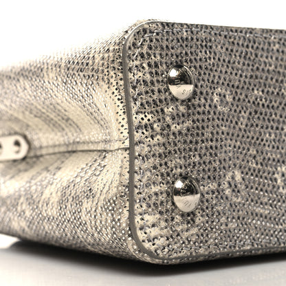 Louis Vuitton Lizard Mini Capucines Argento 8 of 9