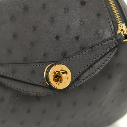 Hermes Ostrich Mini Lindy 20 Graphite 10 of 11