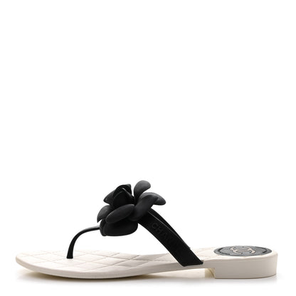 Chanel Jelly Quilted Camellia Thong Sandals 38 White Black 1 of 7