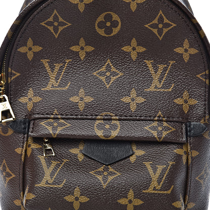 Louis Vuitton Monogram Palm Springs Backpack Mini 10 of 11