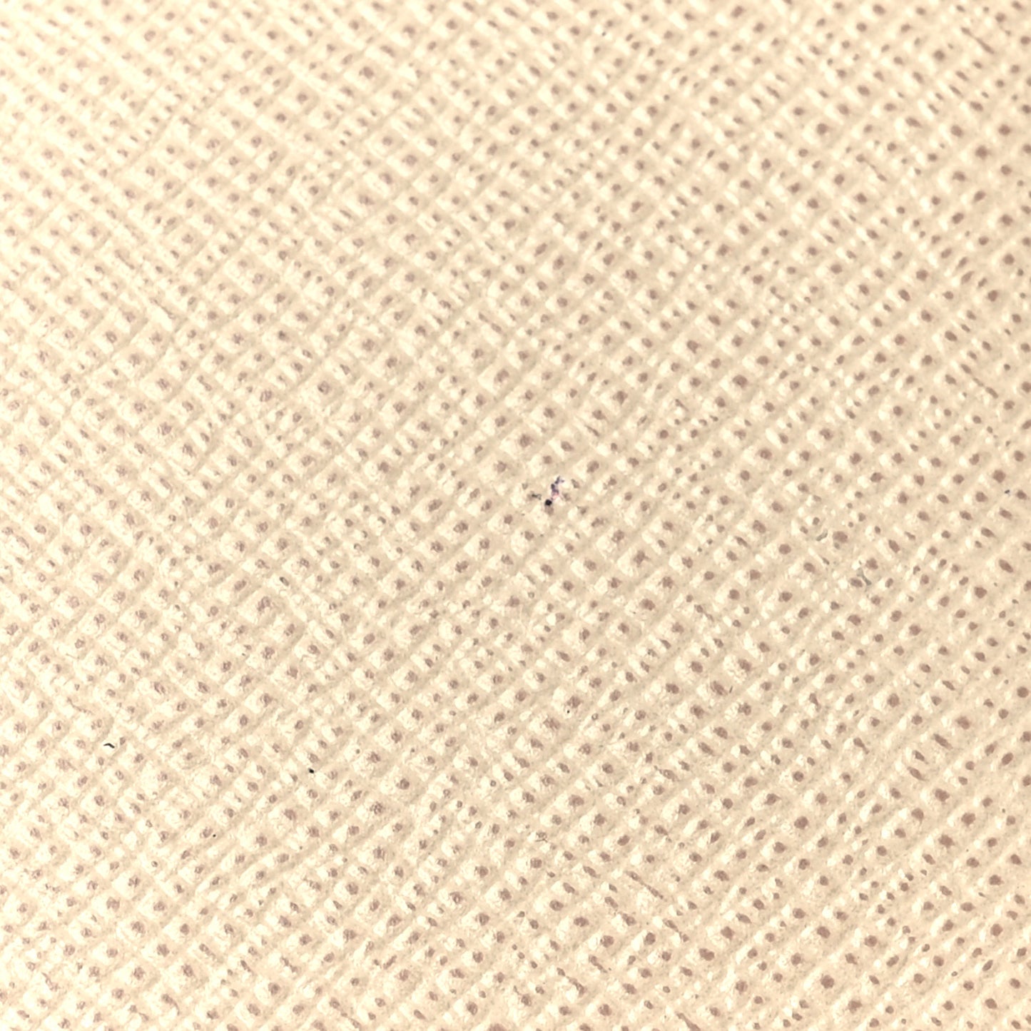 Damier Azur Small Ring Agenda Cover