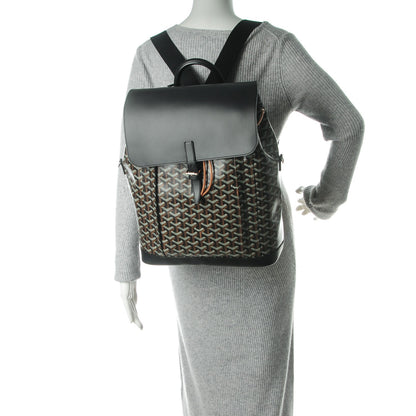 Goyard Goyardine Calfskin Alpin Backpack Black 2 of 6