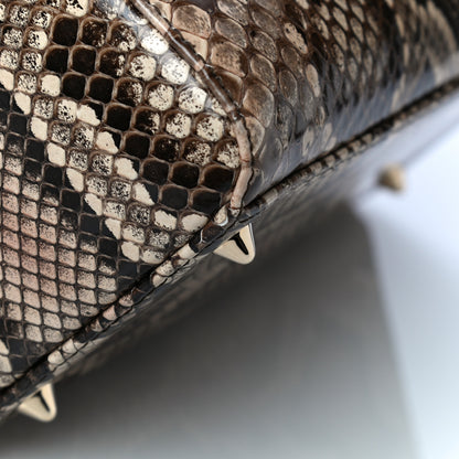Christian Dior Snakeskin Medium Lady Dior Brown 8 of 9