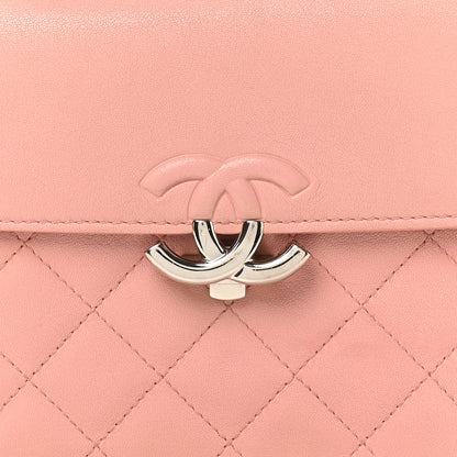Chanel Goatskin Quilted Small CC Box Flap Pink 8 of 11