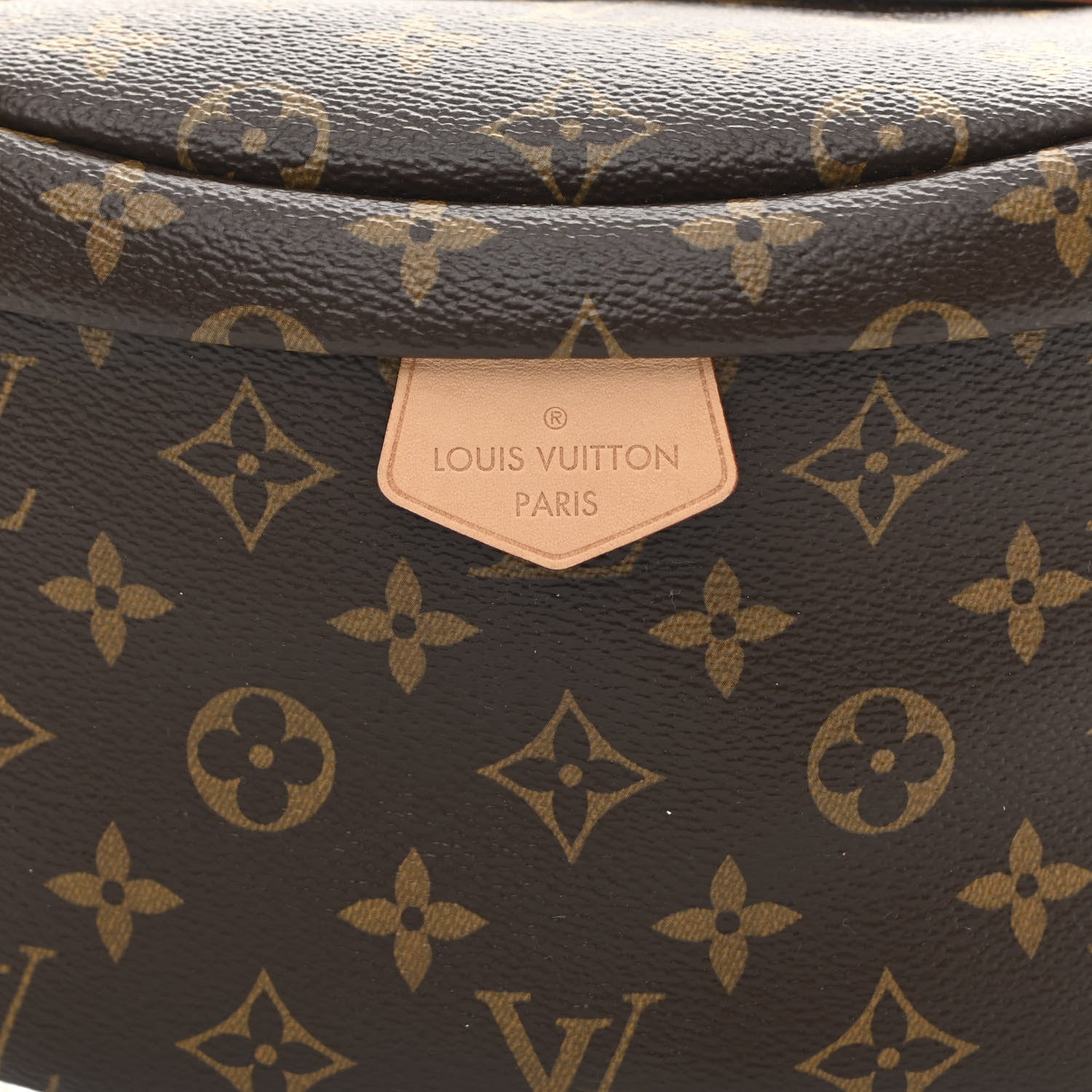 Louis Vuitton Monogram Bumbag 7 of 10