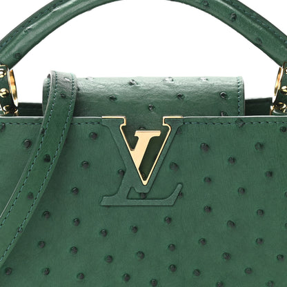 Louis Vuitton Ostrich Capucines Mini Mint 7 of 10