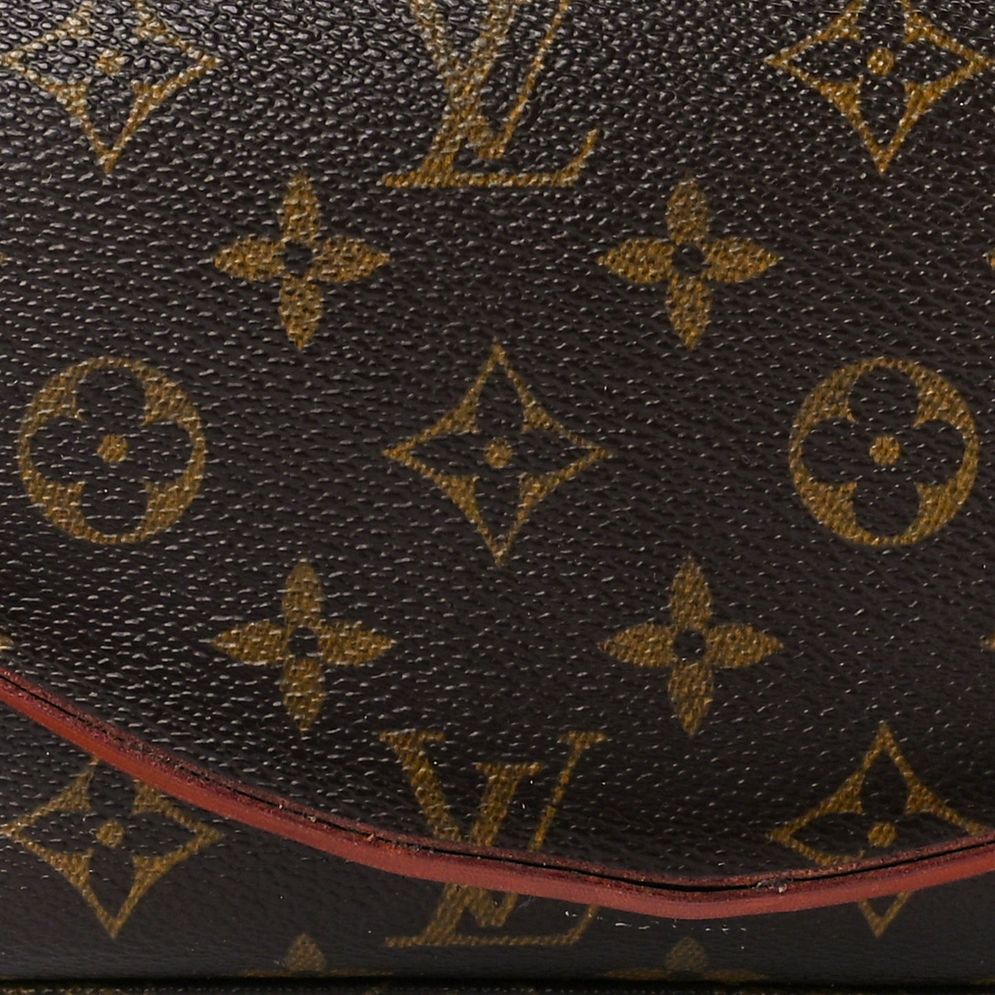 Monogram Pochette Accessories