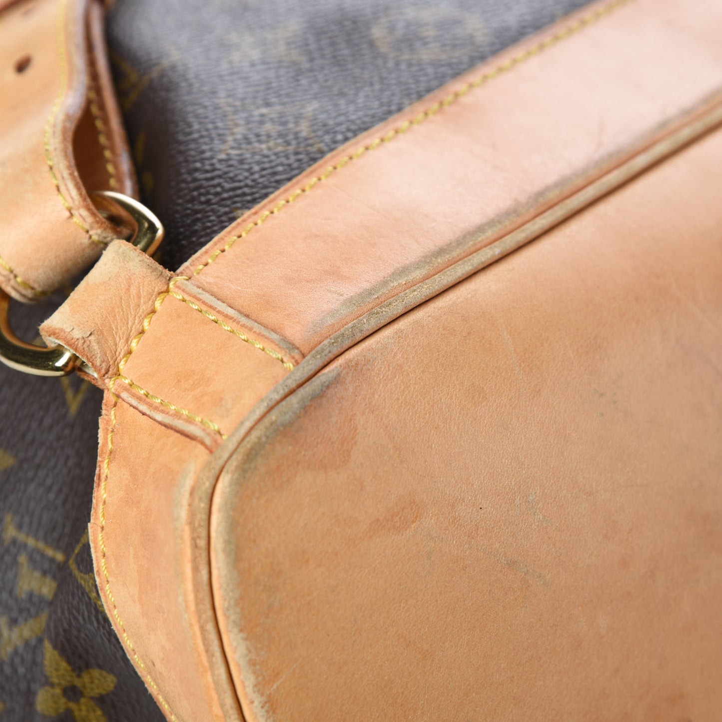 Monogram Montsouris GM Backpack