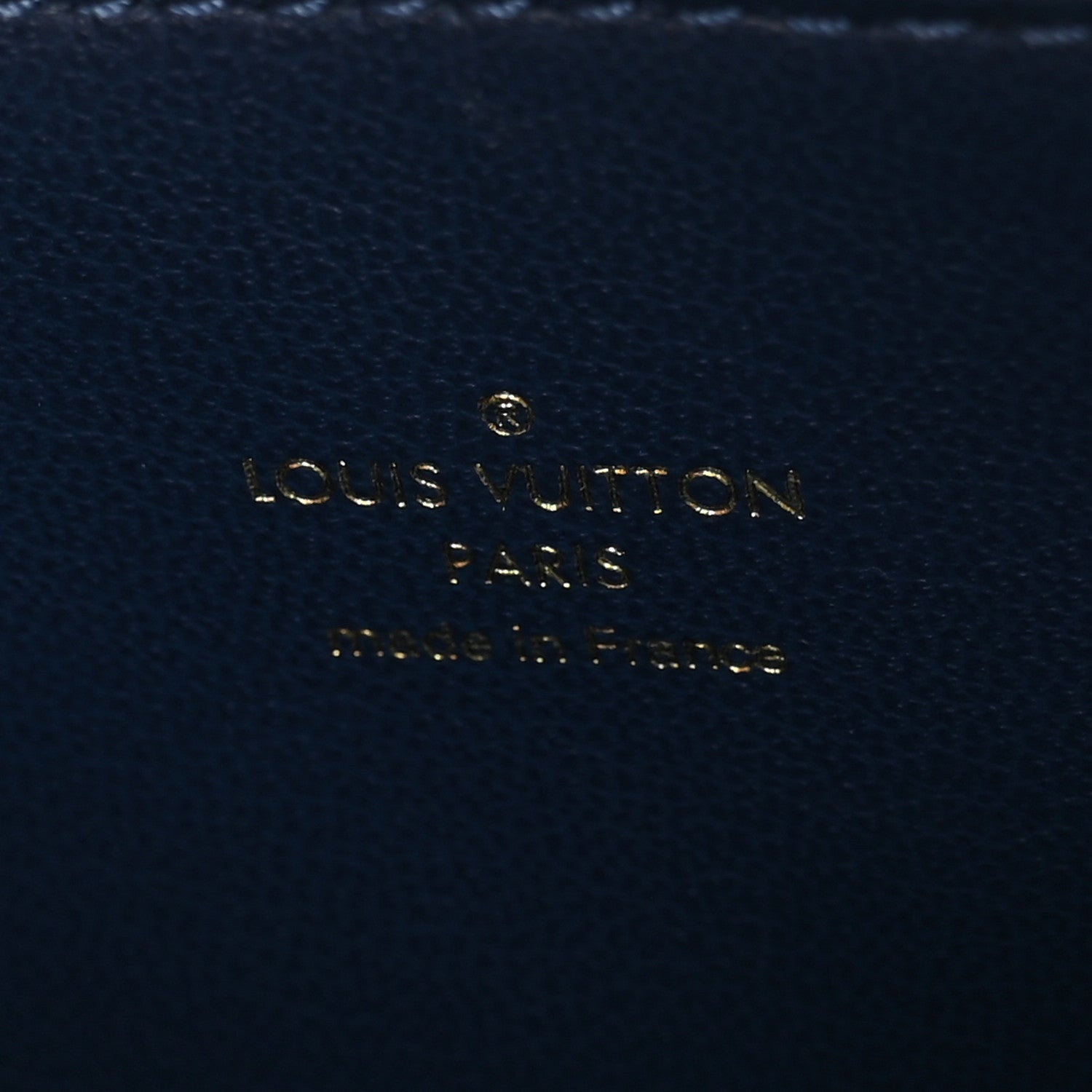 Louis Vuitton Lambskin Embossed Monogram Coussin PM Taupe Taupe 6 of 9
