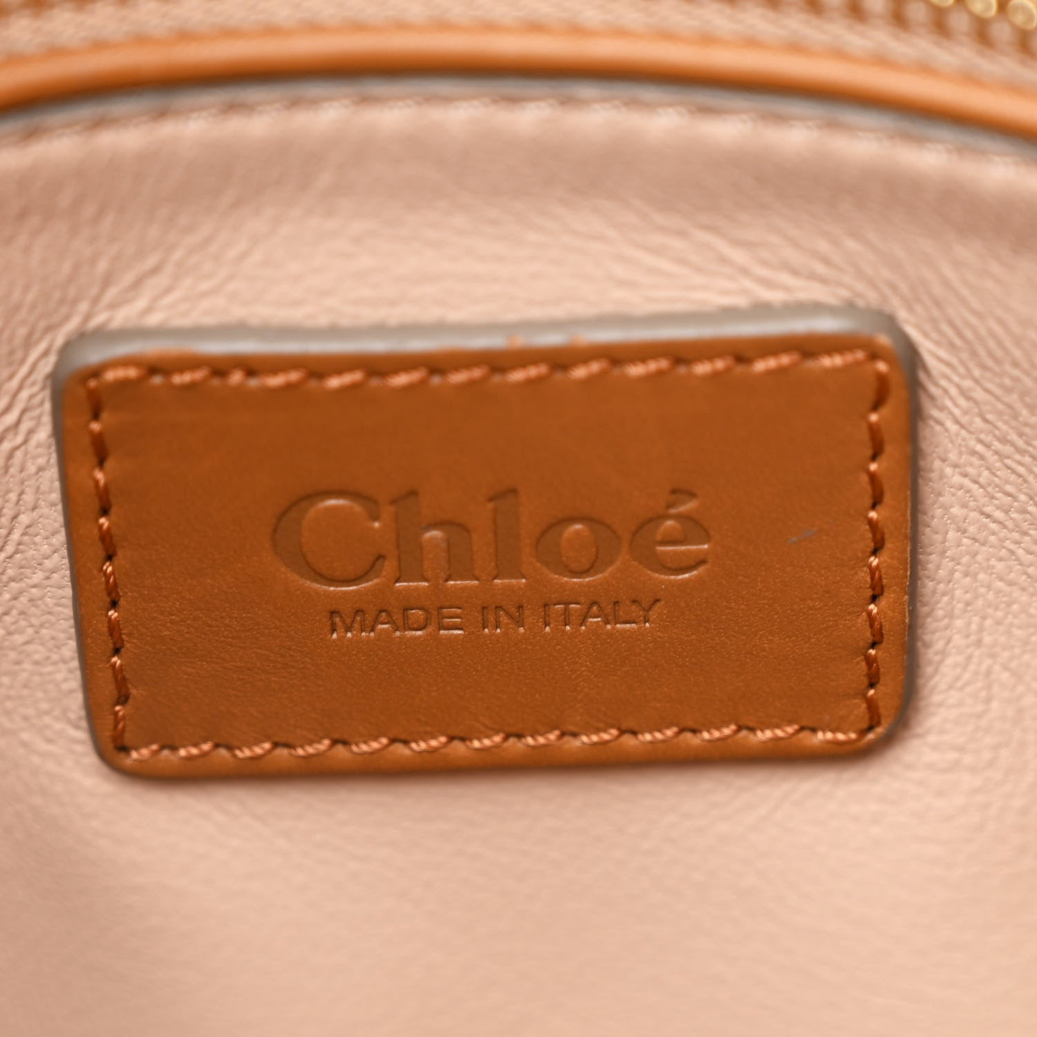 Chloe Snakeskin Calfskin Medium Marcie Satchel Dinghy Wood 6 of 11