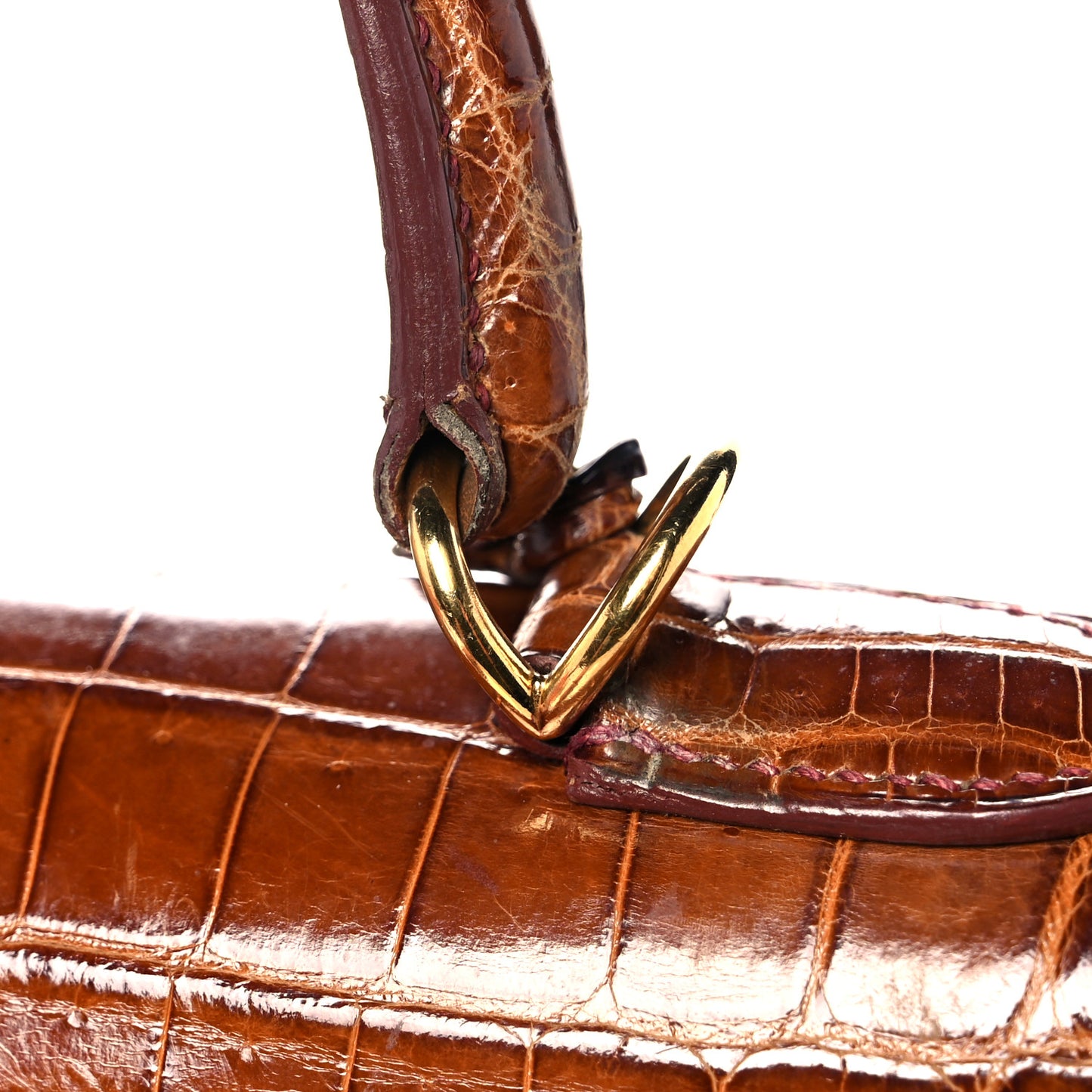 Shiny Niloticus Crocodile Kelly Sellier 28 Miel