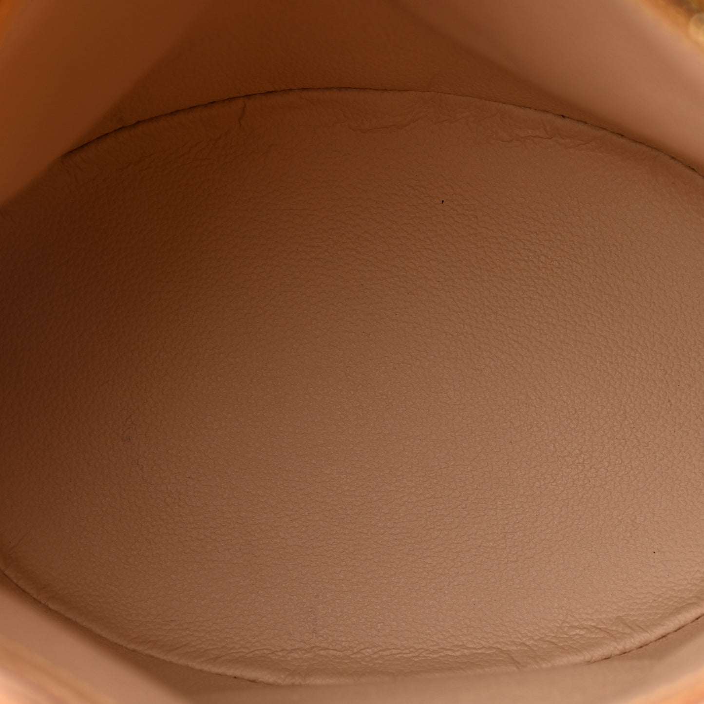 Monogram Petit Bucket 23