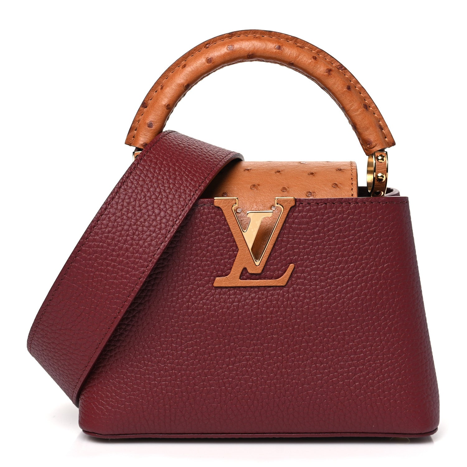 Louis Vuitton Taurillon Ostrich Mini Capucines Griotte Red Honey 1 of 9