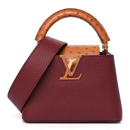 Louis Vuitton Taurillon Ostrich Mini Capucines Griotte Red Honey 1 of 9