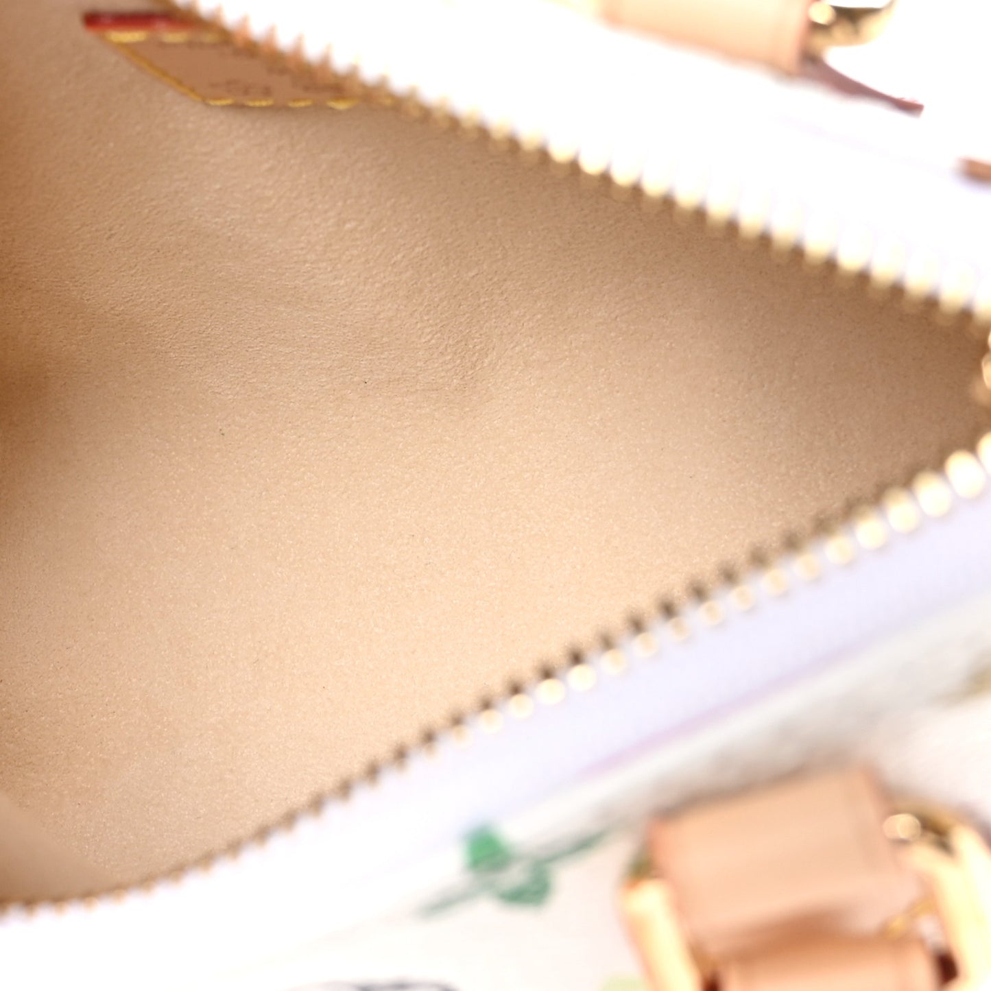 LV X TM Monogram Multicolor Nano Speedy White