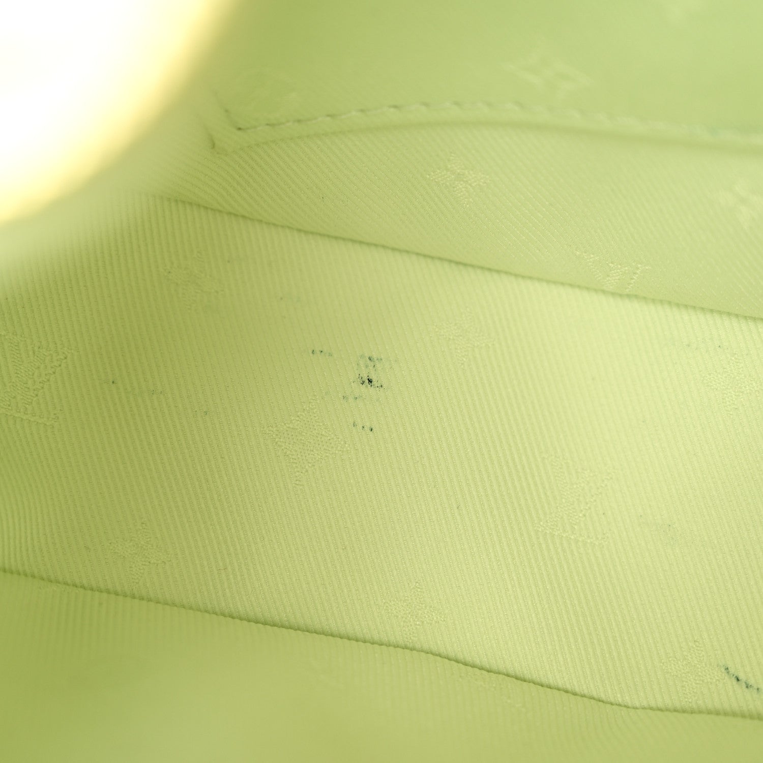 Louis Vuitton Calfskin Bubblegram Over The Moon Light Green 10 of 10