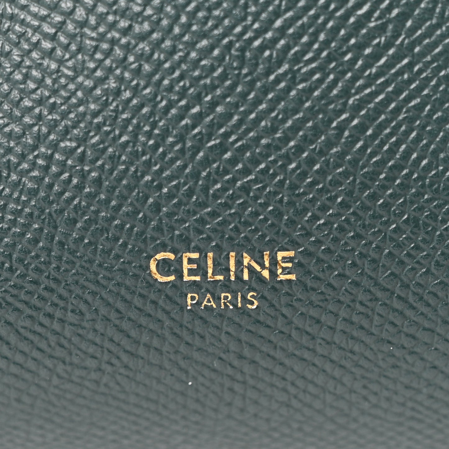Grained Calfskin Micro Belt Bag Amazone