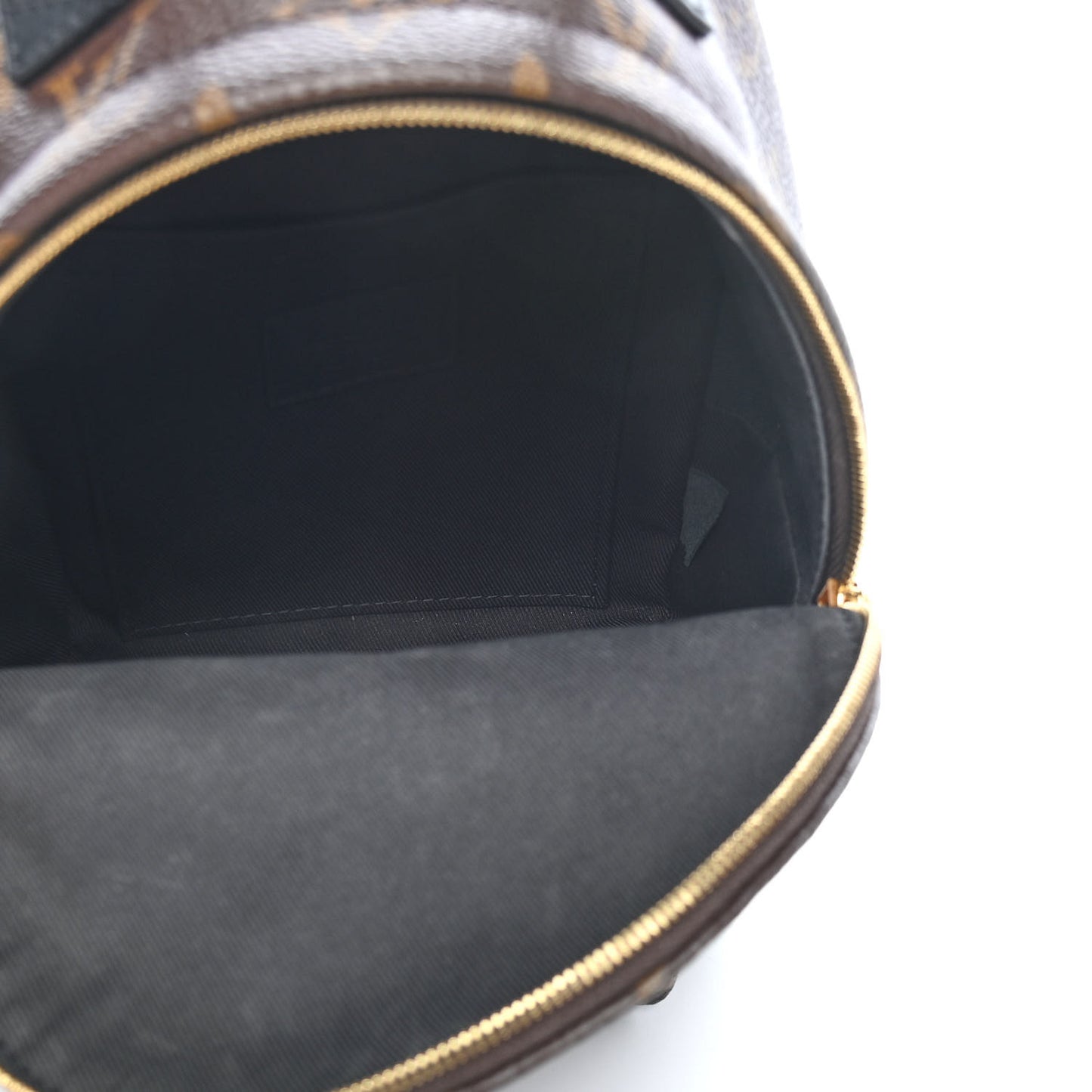 Monogram Palm Springs Backpack Mini