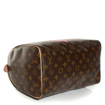 Louis Vuitton Monogram Speedy 30 V Grenade 4 of 8