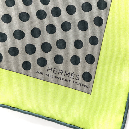 Hermes Silk Grrrrr! Scarf 100 Marron Lime Sapin 2 of 3