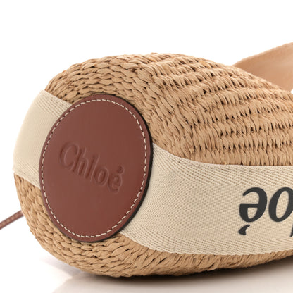 Chloe Natural Woven Fiber Small Woody Basket 11 of 11