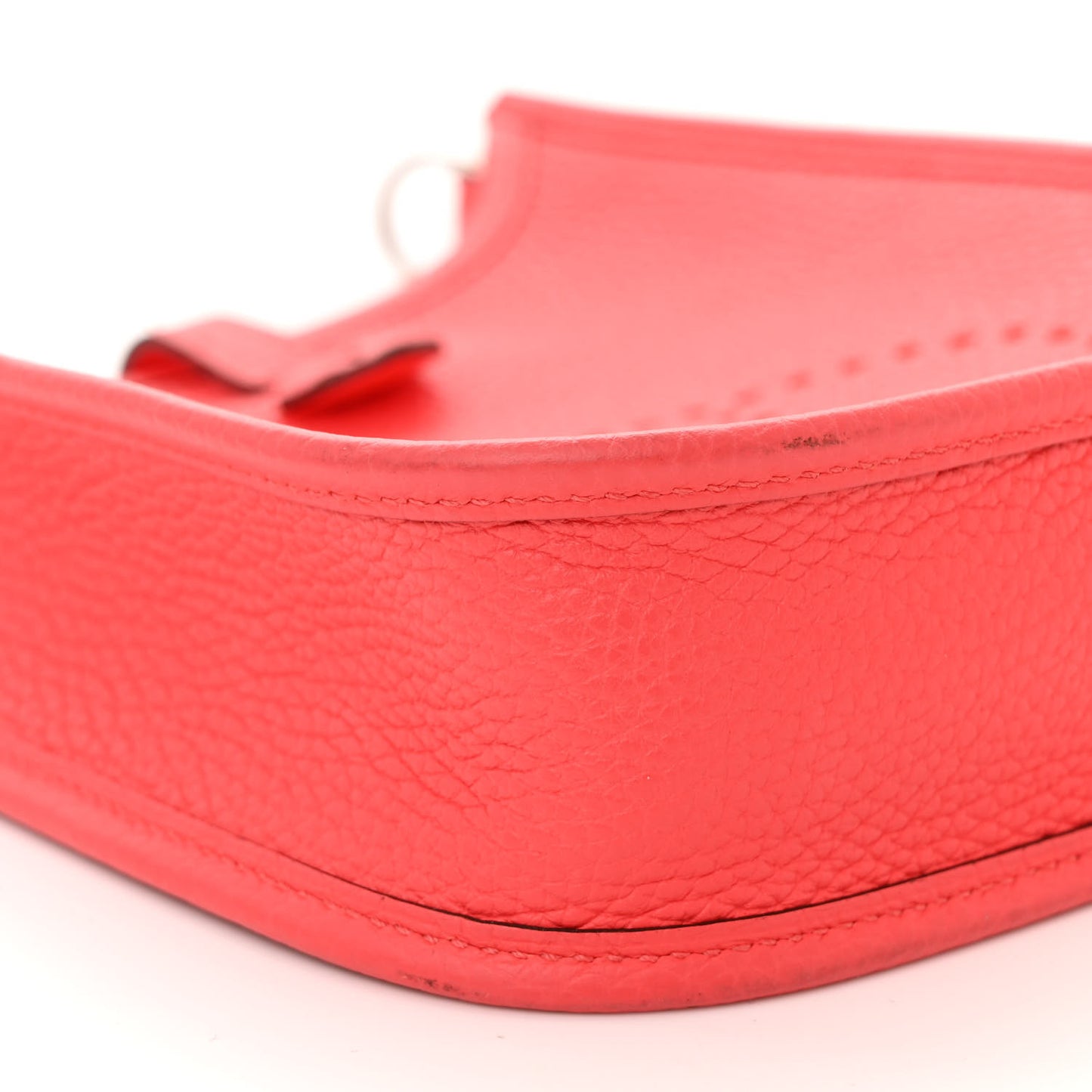 Taurillon Clemence Evelyne TPM Rose Texas