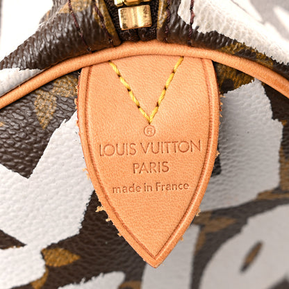 Louis Vuitton Monogram Graffiti Speedy 30 Silver 6 of 10