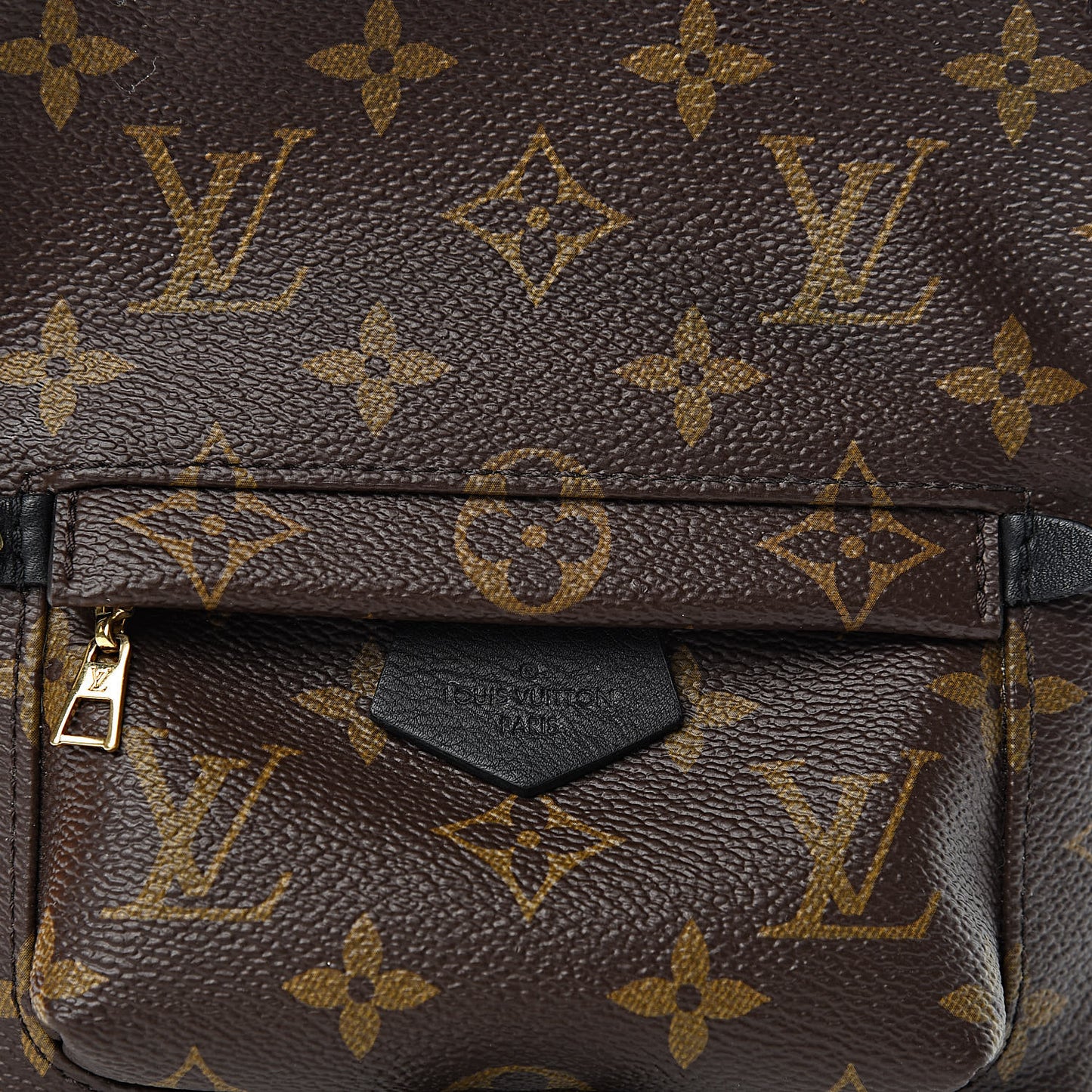 Monogram Palm Springs Backpack Mini