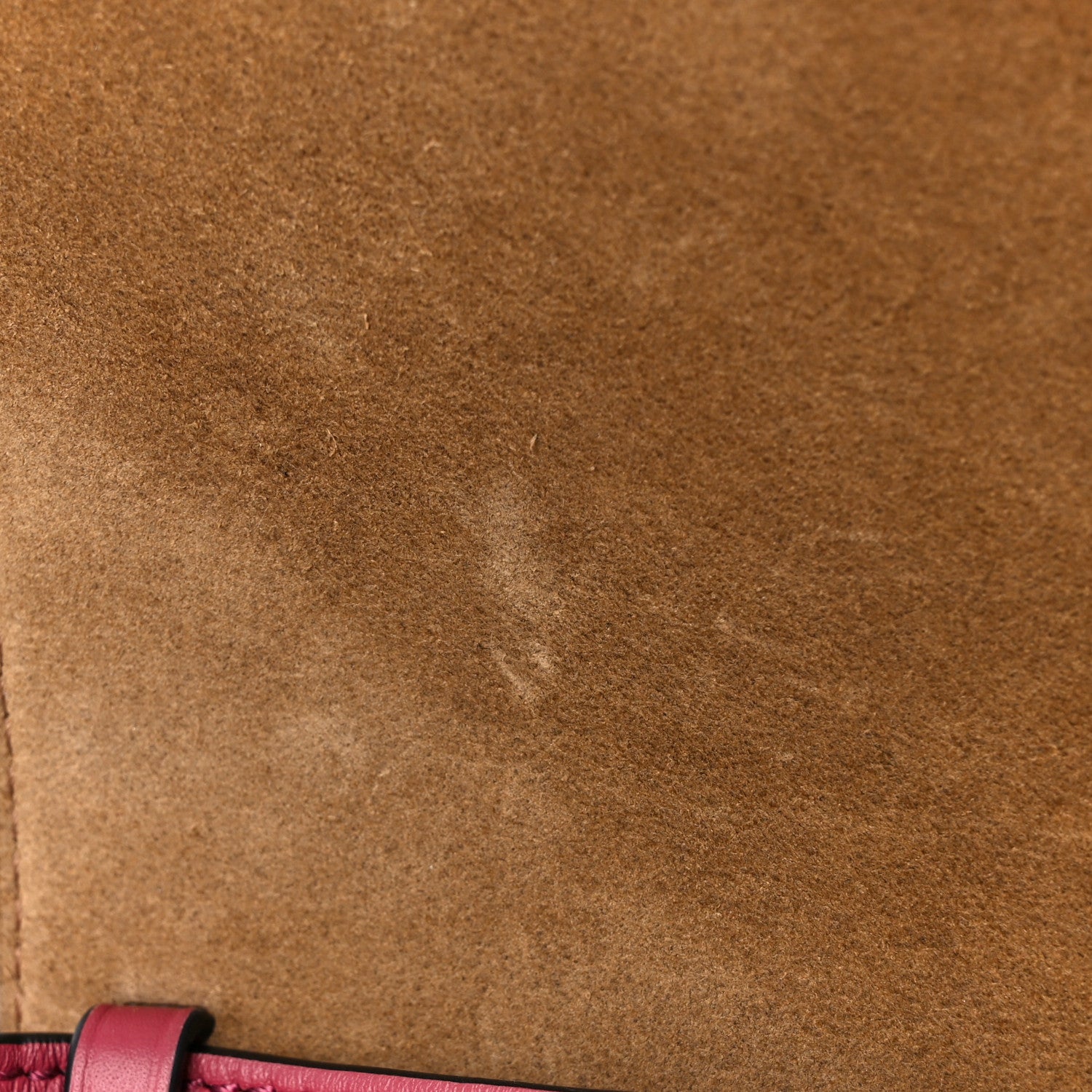 Loewe Calfskin Jacquard Mini Gate Dual Bag Plumrose 11 of 11