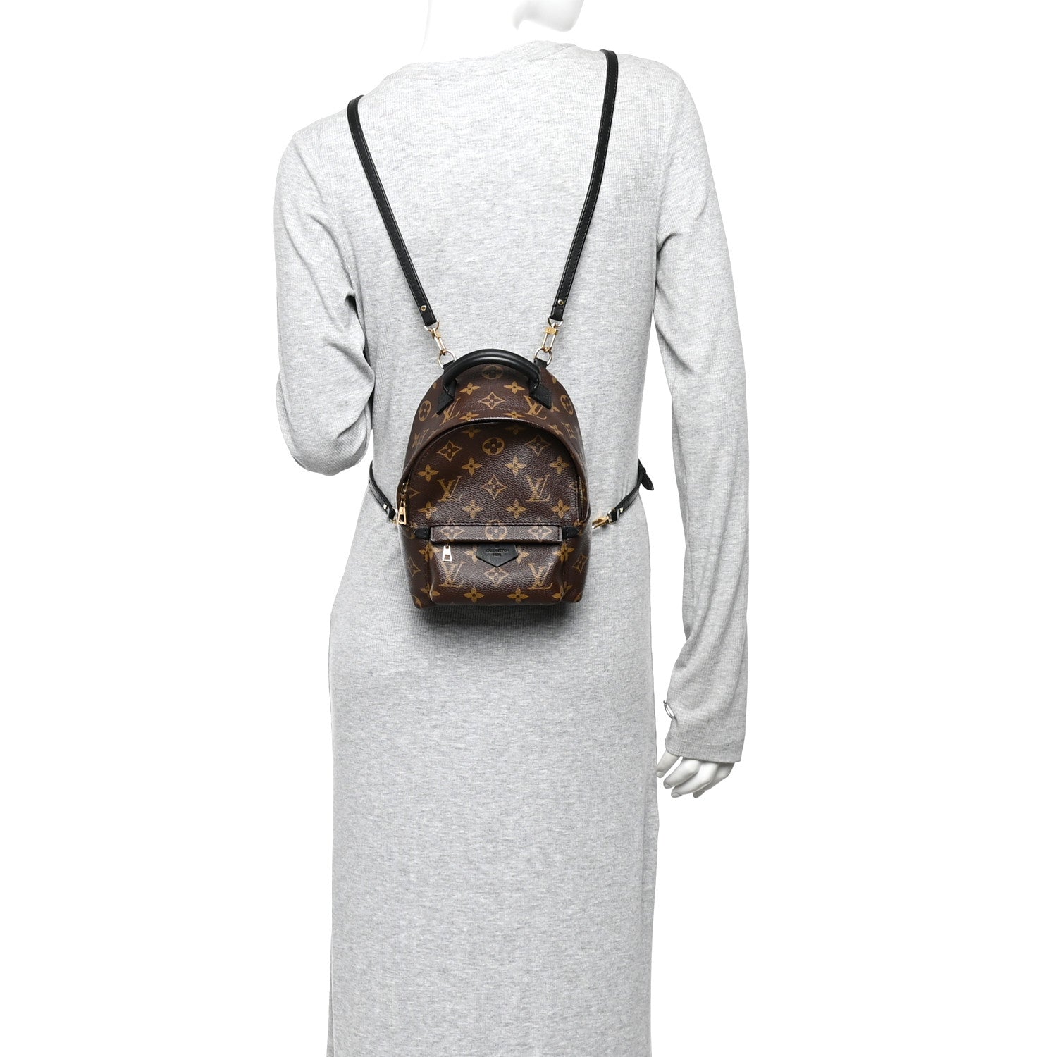 Louis Vuitton Monogram Palm Springs Backpack Mini 2 of 9
