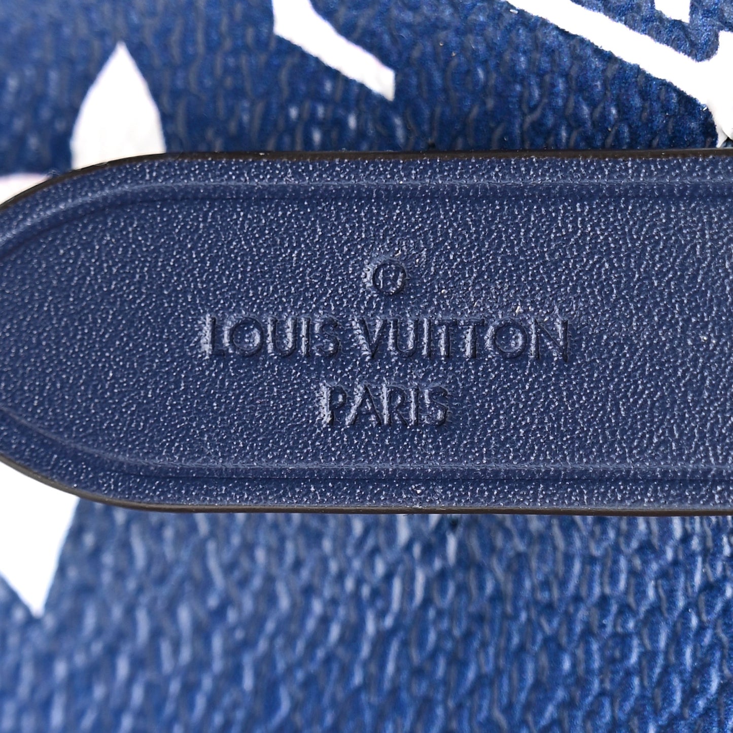 Monogram Escale Neonoe MM Blue