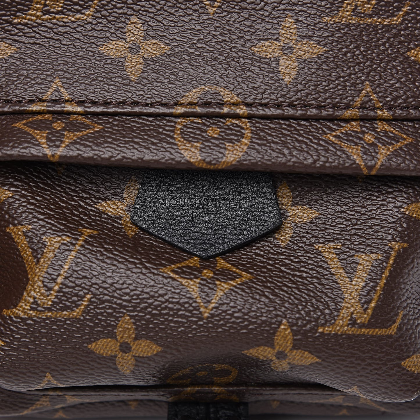 Monogram Palm Springs Backpack Mini