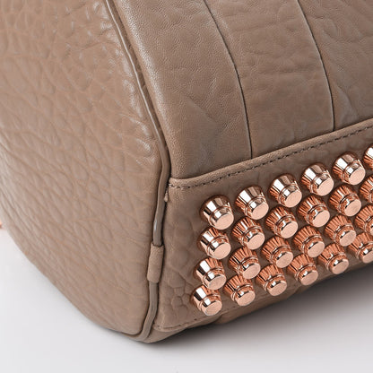 Alexander Wang Pebbled Lambskin Rockie Latte Rose Gold Hardware 15 of 16
