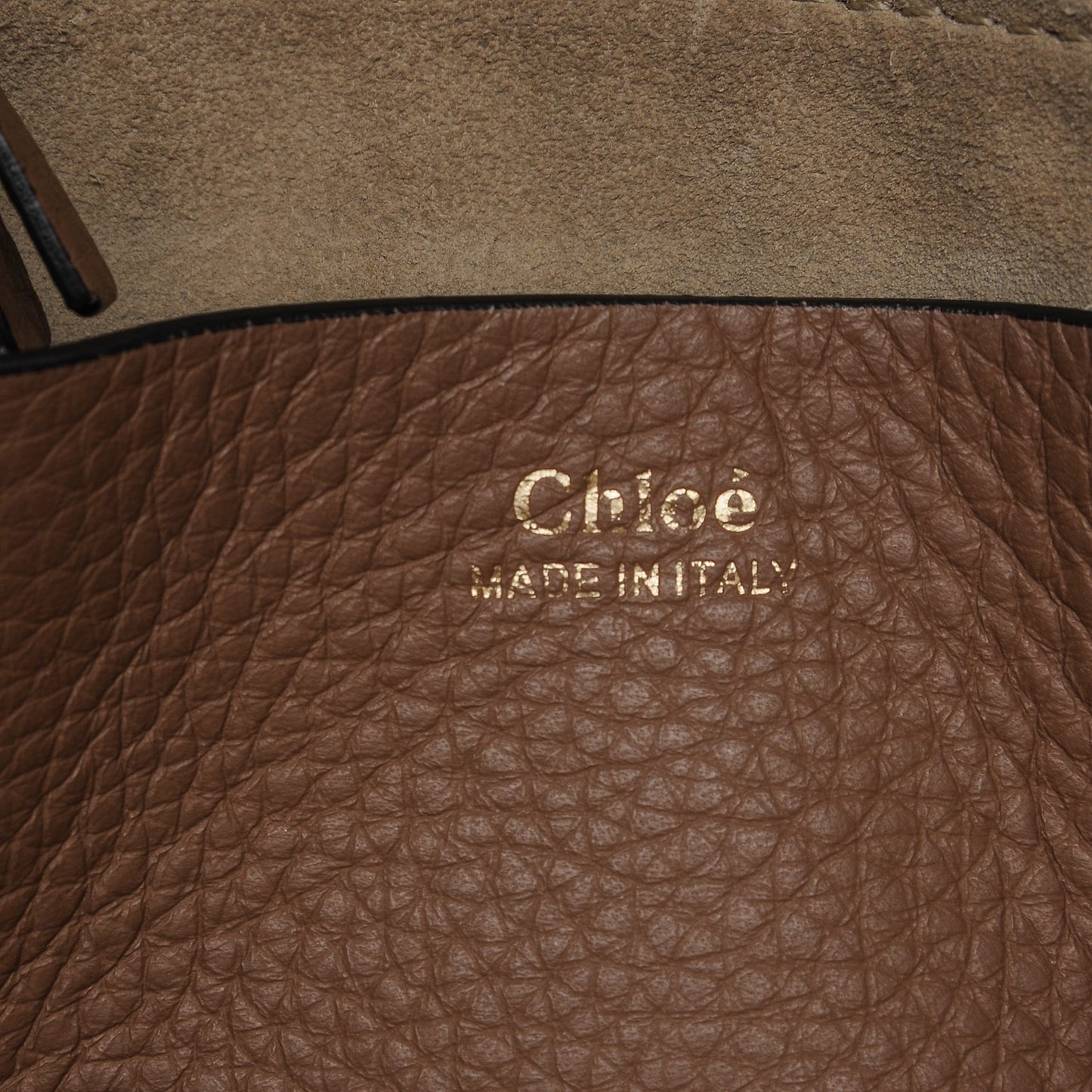Grained Calfskin Small Hayley Hobo Nut