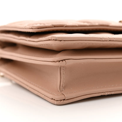 Christian Dior Lambskin Cannage Mini My Dior Bag Rose Des Vents 9 of 11