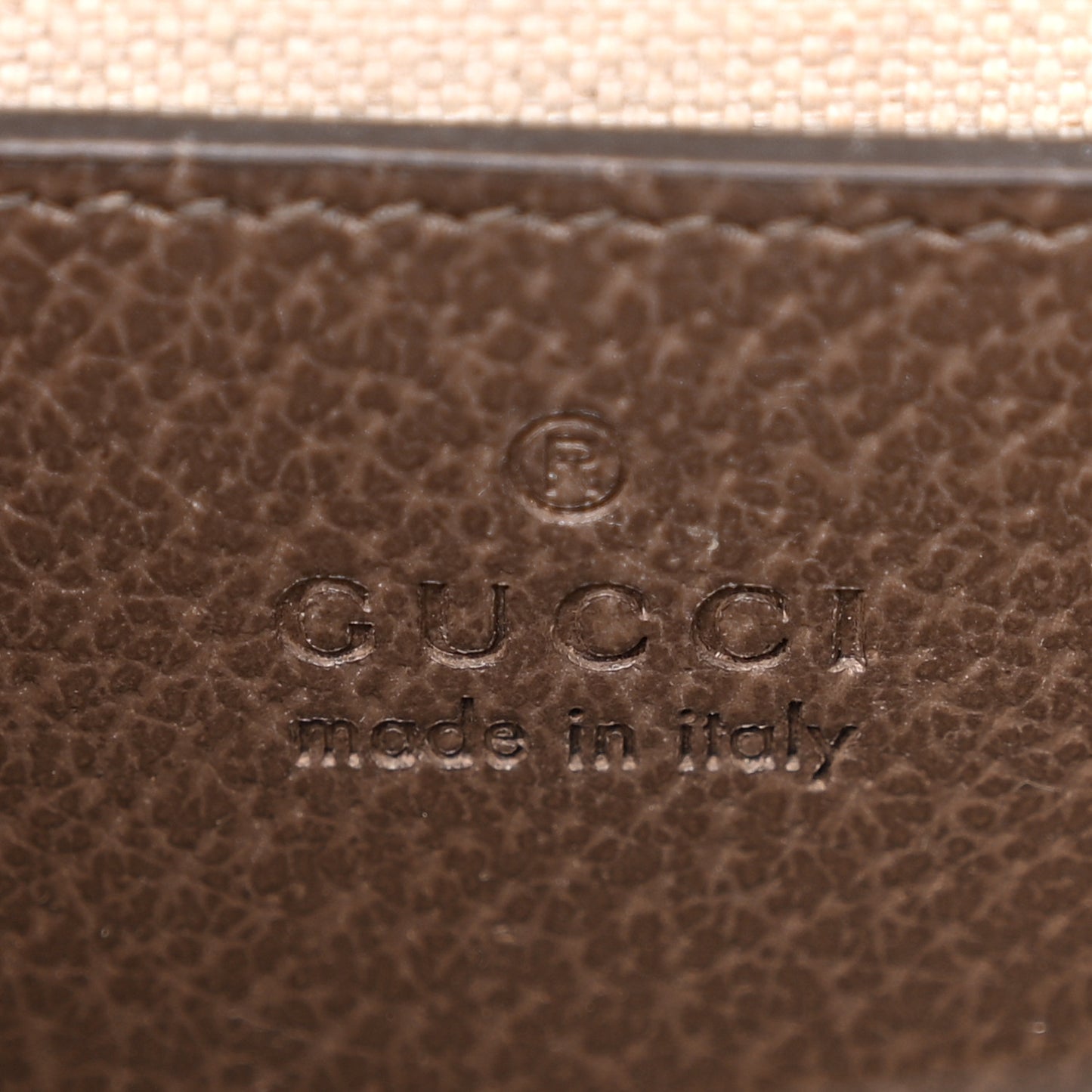 Monogram Jumbo GG Textured Dollar Calfskin Web Small Ophidia Chain Shoulder Bag Camel Ebony New Acero