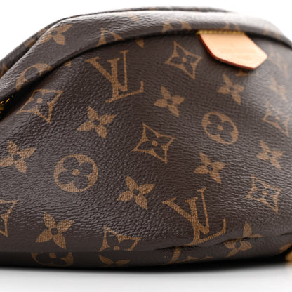 Louis Vuitton Monogram Bumbag 9 of 11