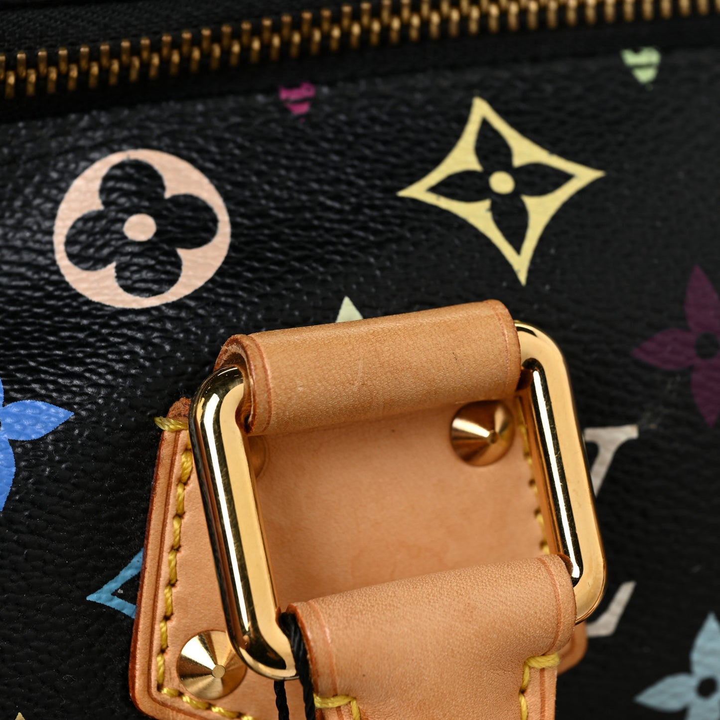 Monogram Multicolor Speedy 30 Black
