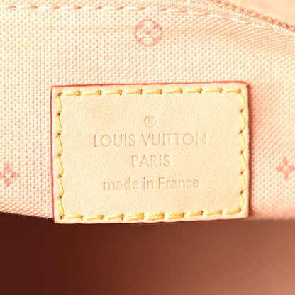 Louis Vuitton Monogram Fall for You Speedy Bandouliere 25 Beige Clair 6 of 9